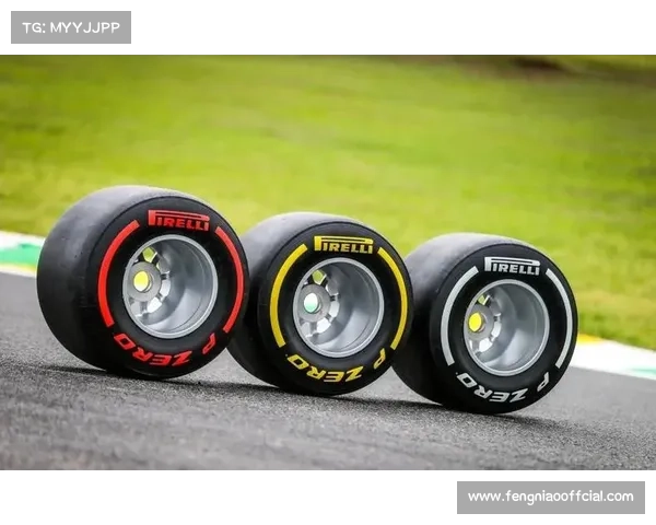 阿布扎比站轮胎策略分析：中性胎成关键选择